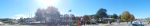 The Crowd